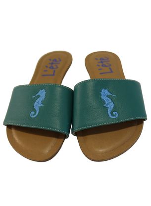 caballito-slide-verde-site